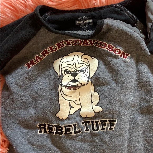 Harley Davidson sleeper - Picture 1 of 4